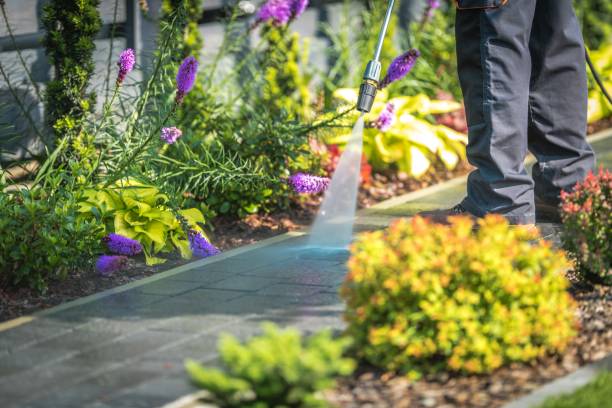 Best Residential Pressure Washing in Bowling Green, MO